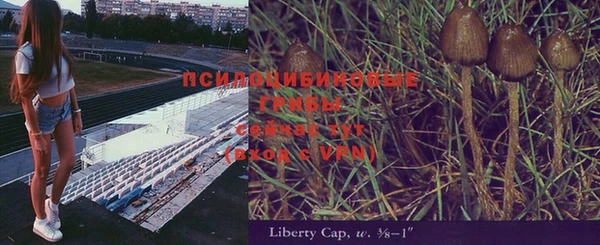 герыч Бородино