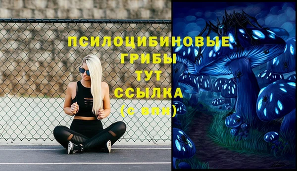 винт Бронницы
