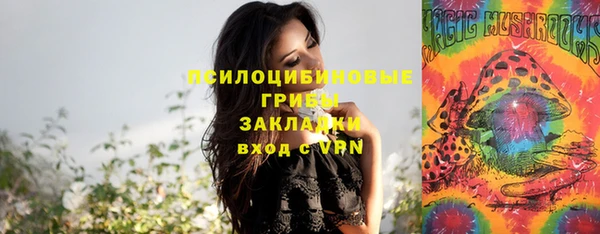 герыч Бородино